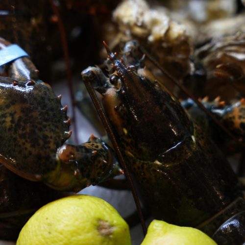 Ristorante di pesce a Catania (20)