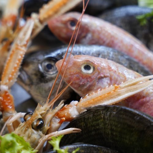Ristorante di pesce a Catania (24)
